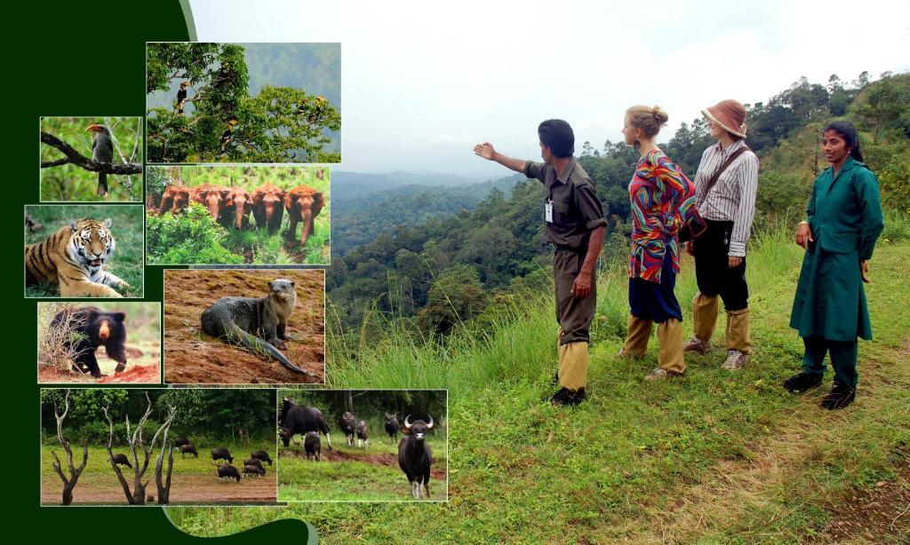 Jungle Park Resorts Thekkady Exteriör bild